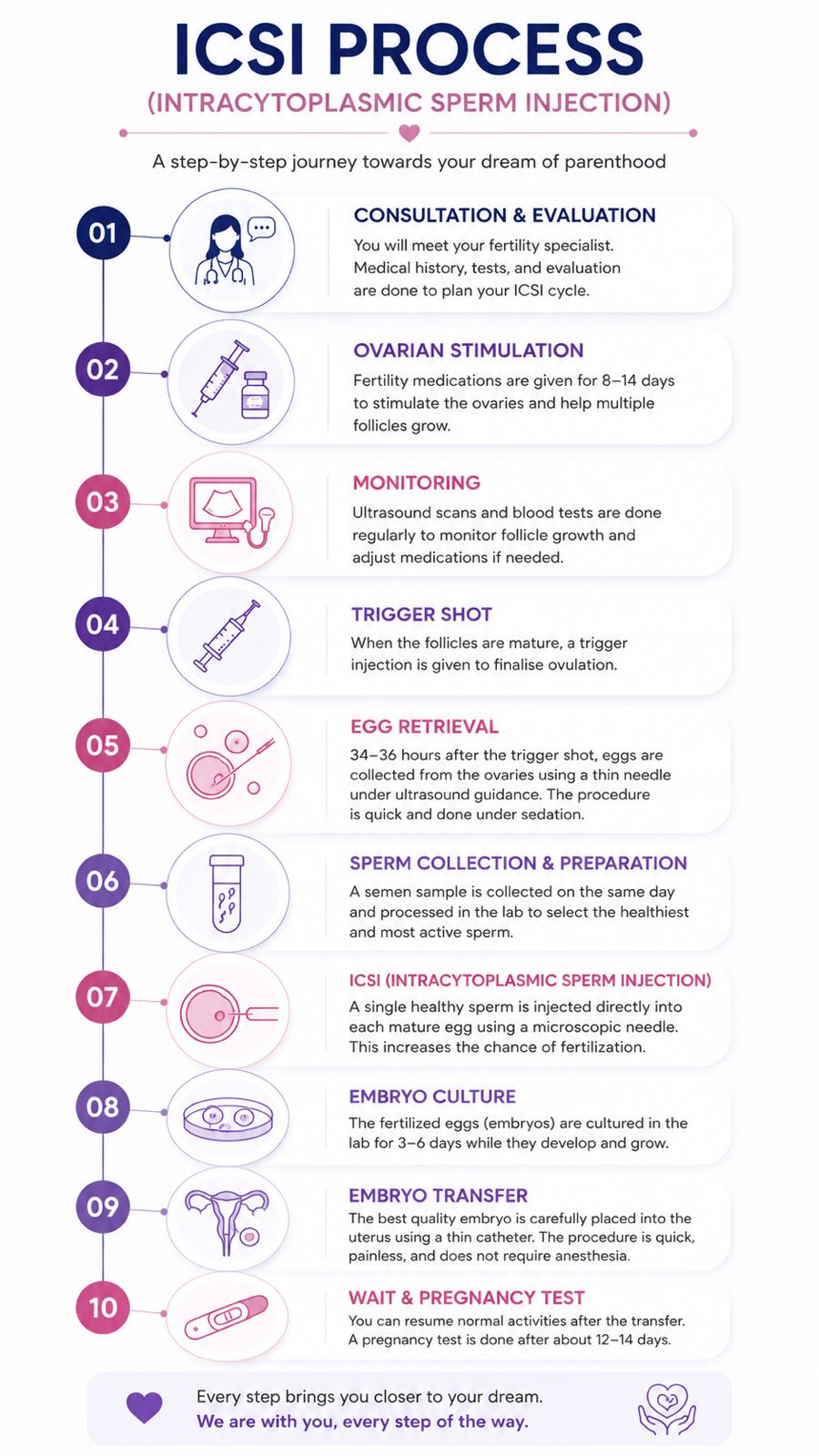 ICSI Process Chart