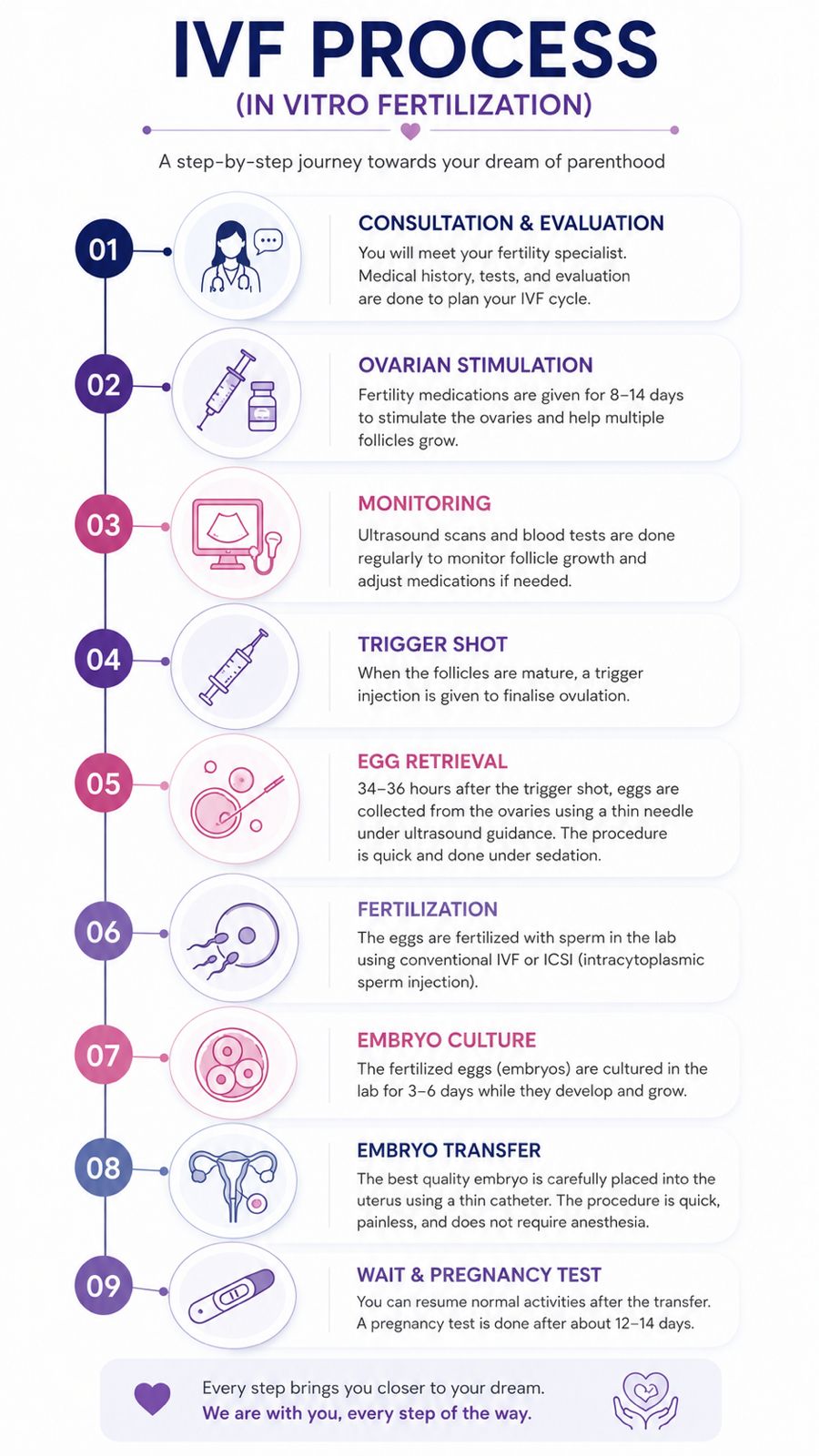 IVF Process Chart